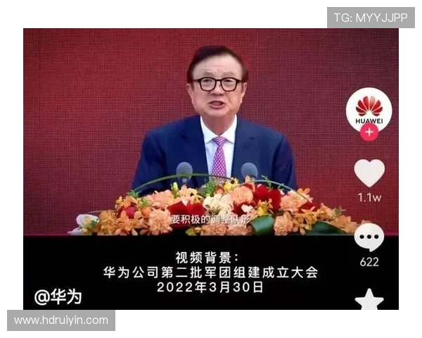 成都排球队的战术创新与运营体系探索分析