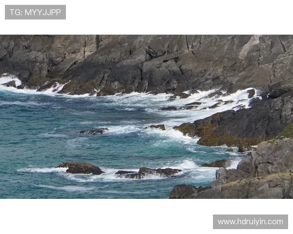 王丽的网球人生深度对话探寻她的奋斗与梦想之路 王丽的网球人生深度对话探寻她的奋斗与梦想之路