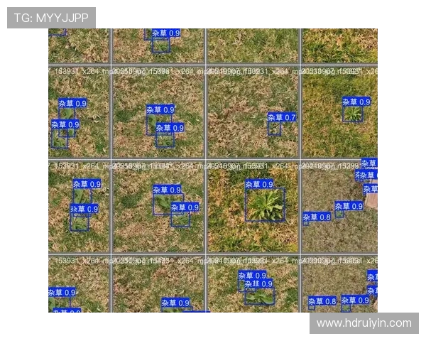 科学和平精英个人能力提升的有效训练方法与策略探讨 科学和平精英个人能力提升的有效训练方法与策略探讨