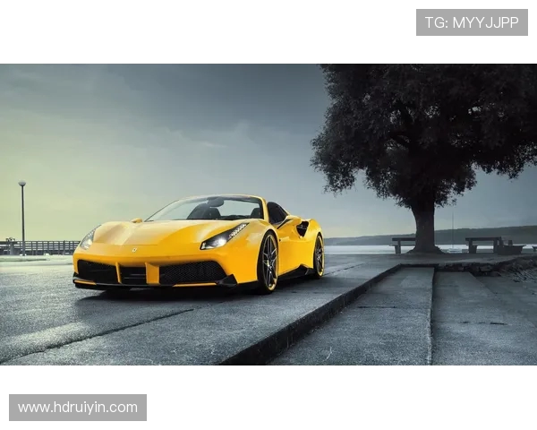 火车头与维也纳快速的较量：速度与激情的完美碰撞